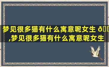 梦见很多猫有什么寓意呢女生 🐯 ,梦见很多猫有什么寓意呢女生 🌷 周公解梦